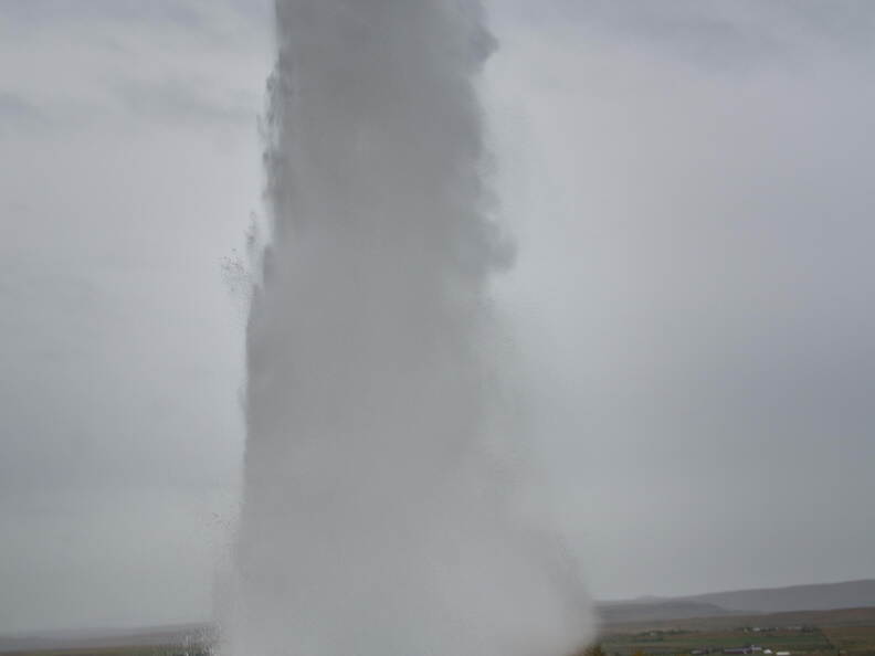 DSC 9544